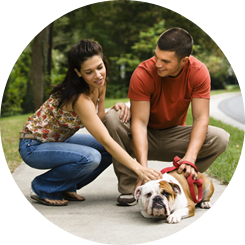 Couple with Their Bulldog - Pet Spay & Neutering Roseville, MN