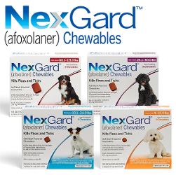 NexGard Chewables 