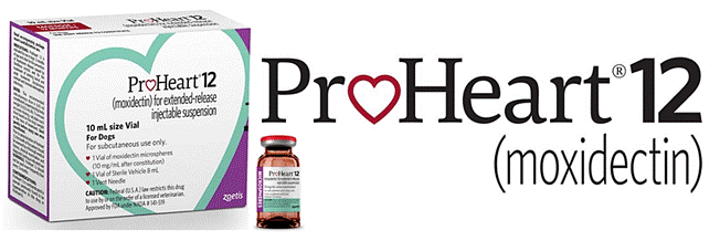 Proheart 12 (Dogs)