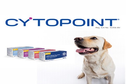 Cytopoint injection for dogs